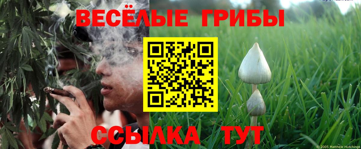 Псилоцибиновые грибы MAGIC MUSHROOMS  Вход с VPN  Канаш  Галлюциногенные грибы MAGIC MUSHROOMS 